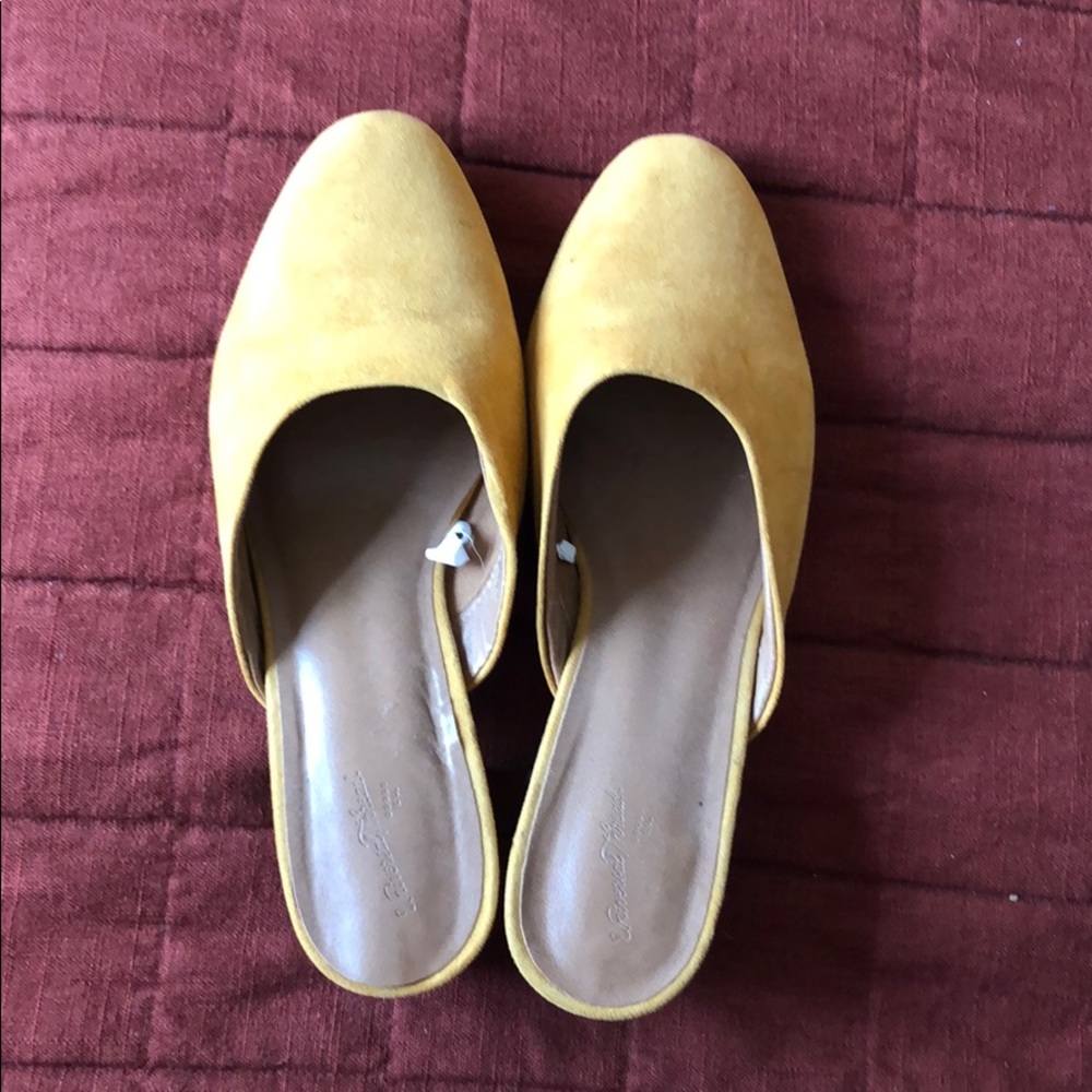 Chunky heel suede mules